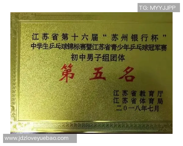 南京乒乓球队实力飙升再创佳绩力量排名引发广泛关注与讨论